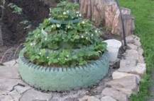 old tire planter